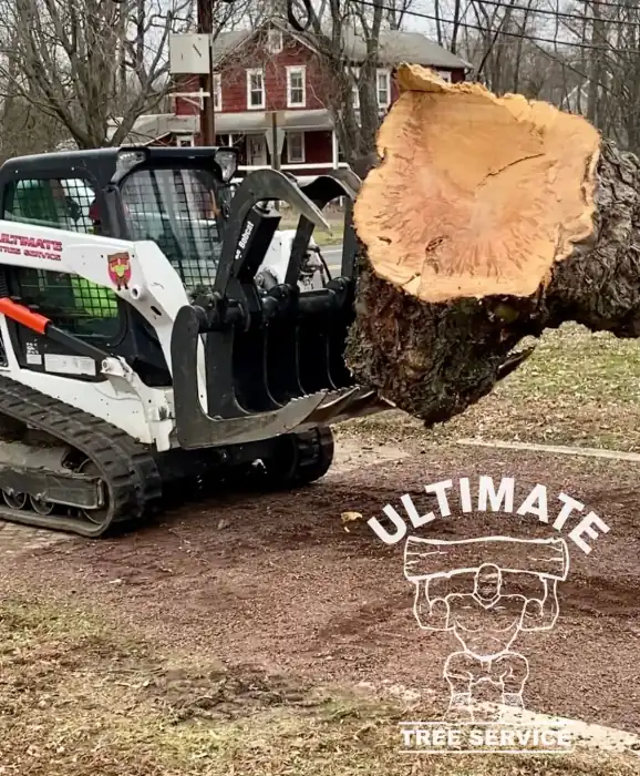 Skid-steer with grapple loading a large cut log beside a red house