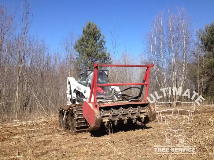 Skid-steer grapple lifting a large limb near a house with solar panels