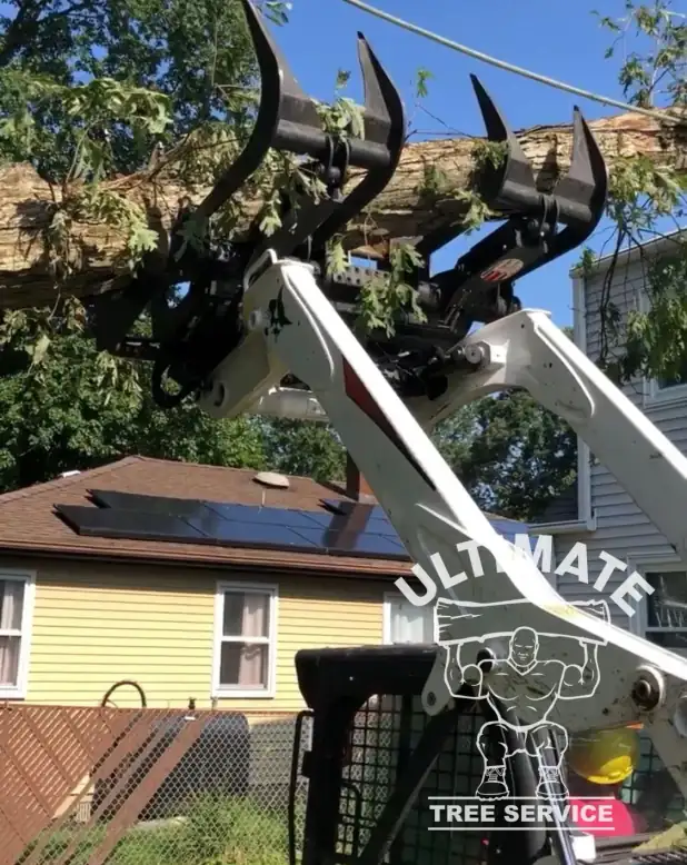 Skid-steer grapple carrying a large felled branch, yellow house in the background