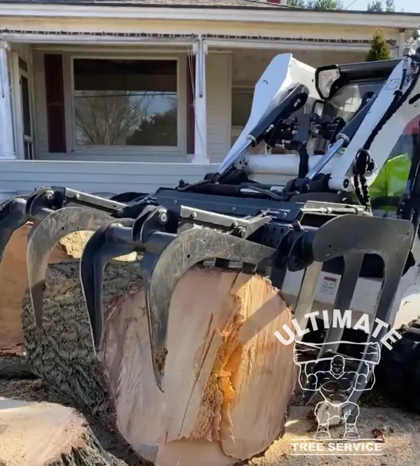 Stump Grinding